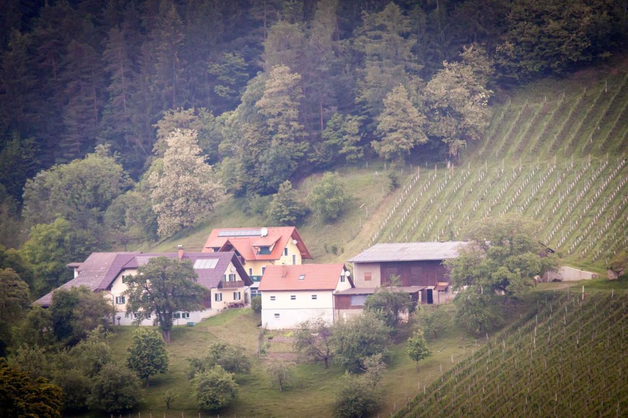 Weinbau Pronegg Vlg. Krainz Apartment Leutschach Exterior foto